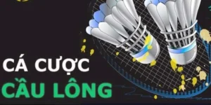 Hướng Dẫn Chơi Cá Cược Cầu Lông Tại SolarBet Thắng Ngoạn Mục